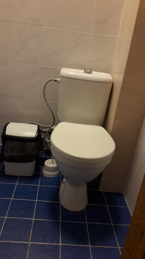 Grazinos Apartamentai Panevėžys المظهر الخارجي الصورة