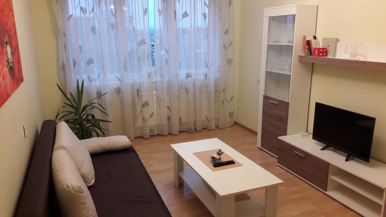 Grazinos Apartamentai Panevėžys المظهر الخارجي الصورة