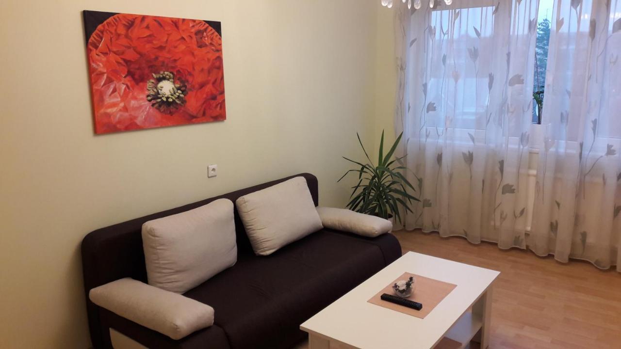 Grazinos Apartamentai Panevėžys المظهر الخارجي الصورة